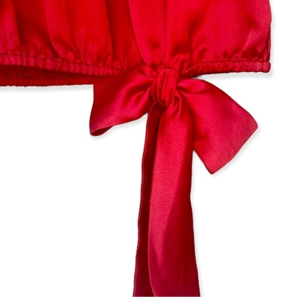 Prelude Shimmer On or Off the Shoulder Lantern Sleeve Tie Side Top - Size Large - Picture 5 of 10